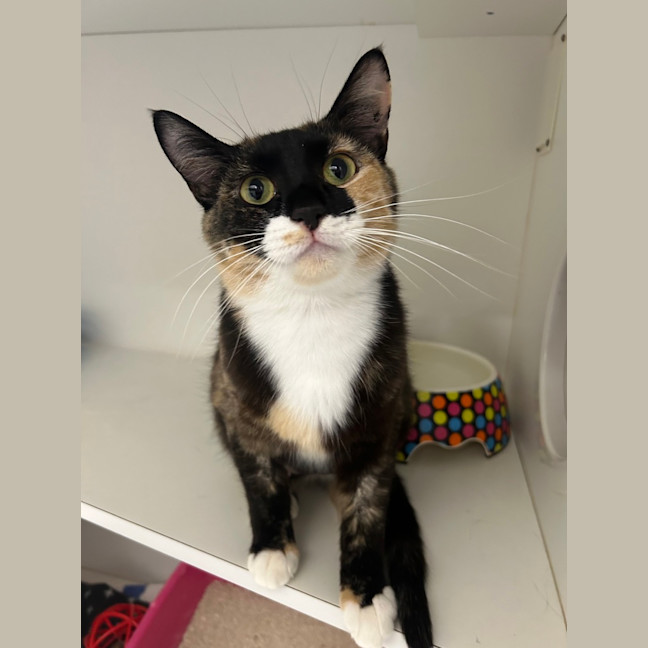 Photo of Jelly Belly