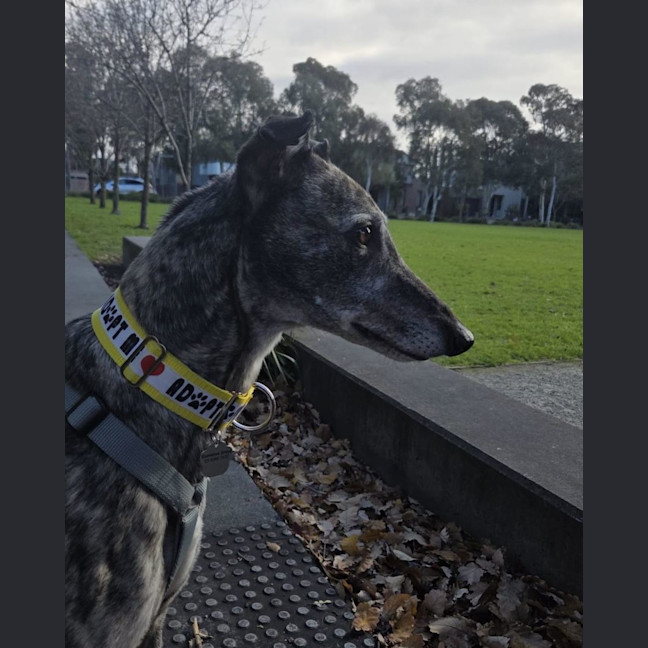 Photo of Nora