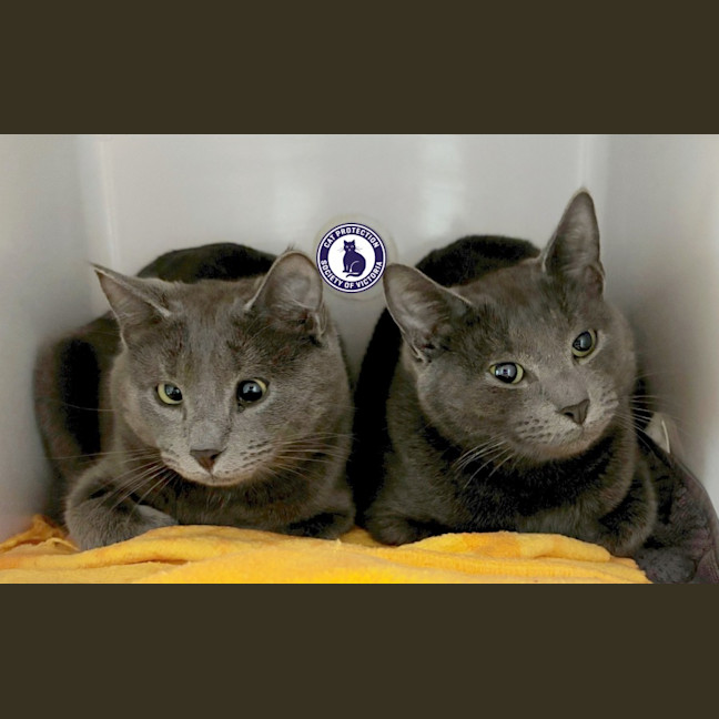 Photo of Earl & Grey