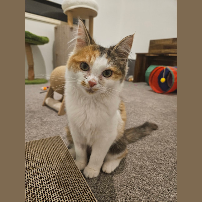 Photo of Adeline