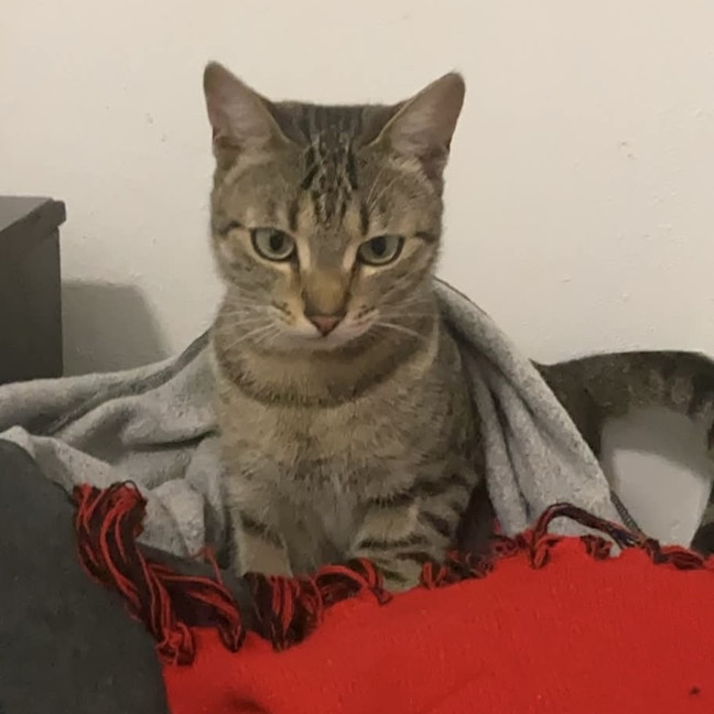Photo of Astro