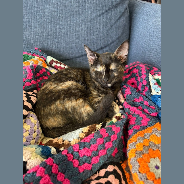 Photo of Hazel