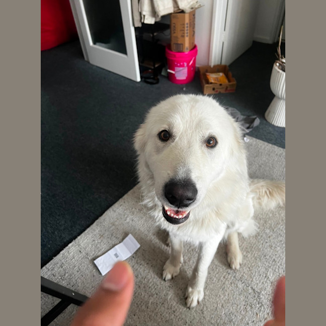Photo of Lucy