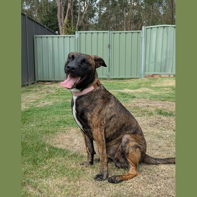 Photo of Winter & Baxter