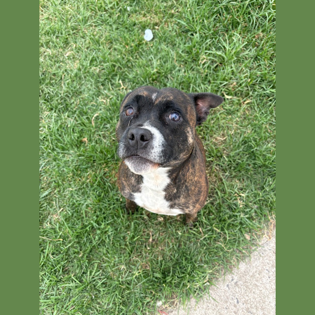 Photo of Lola