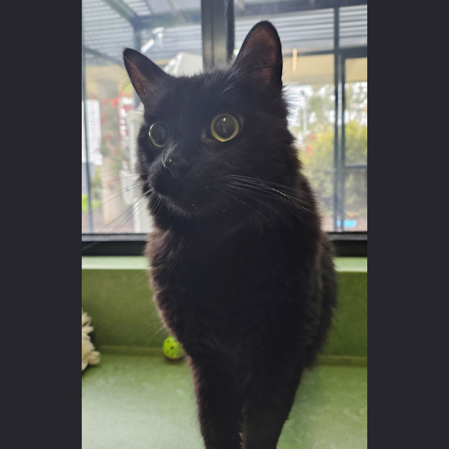 Photo of Zachary Binks