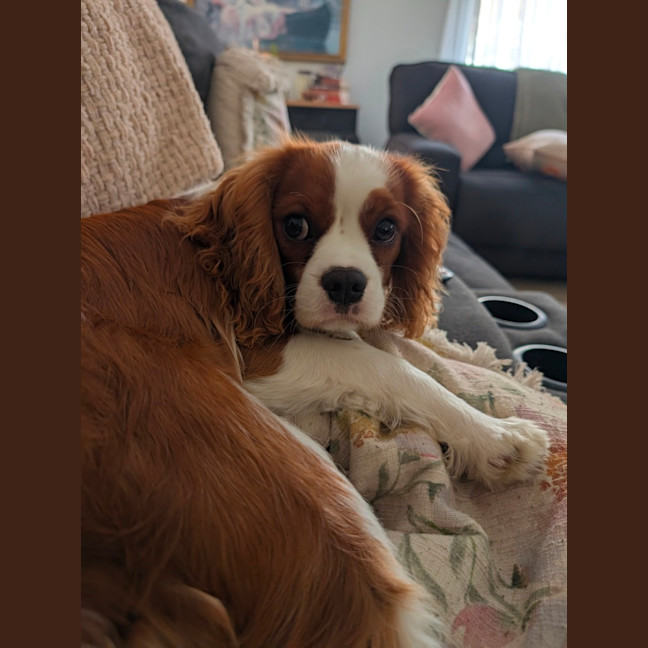 Photo of Reggie