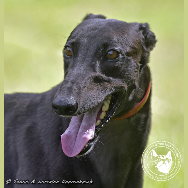 Photo of Billy (Canya Revamp)