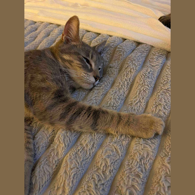 Photo of Mia