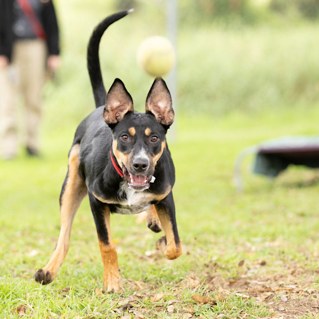 Photo of Delilah