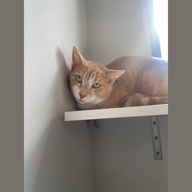 Photo of Atom And Sushi