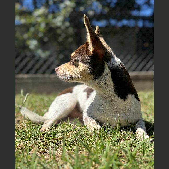 Photo of Potter
