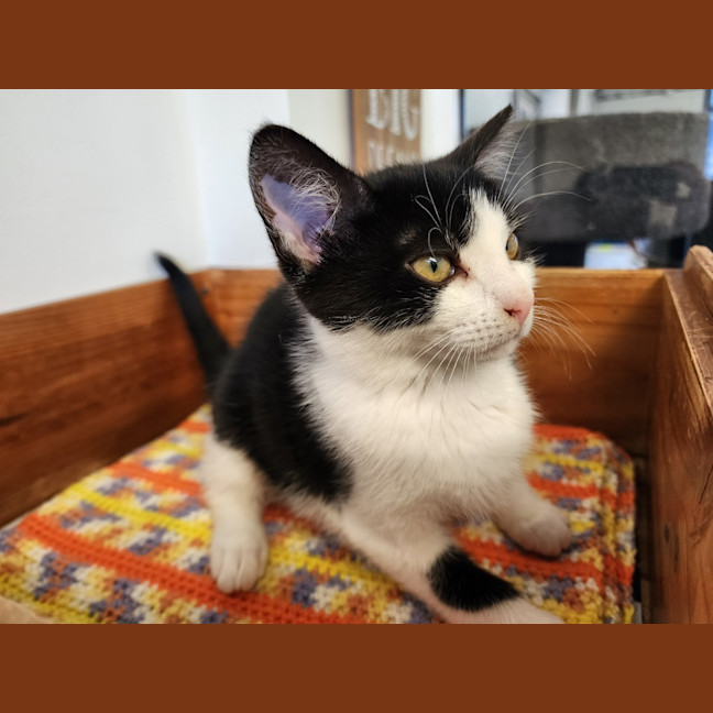 Photo of Mavis