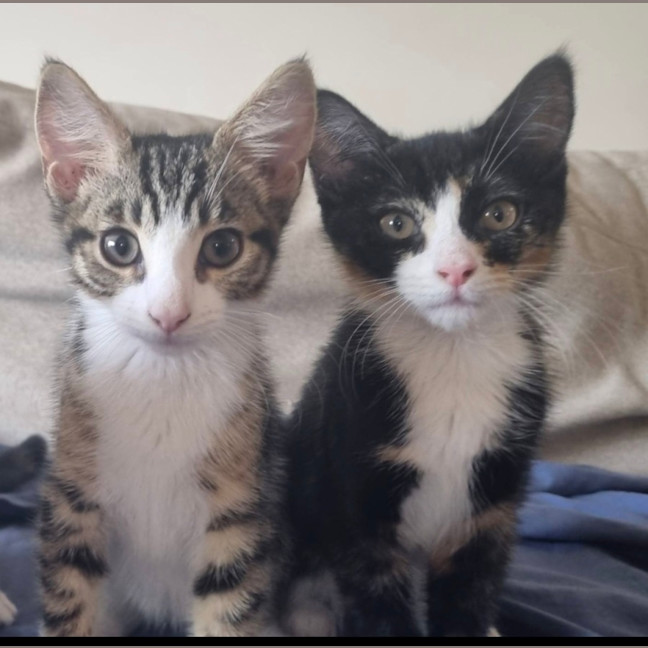 Photo of Matilda 🌺🌈