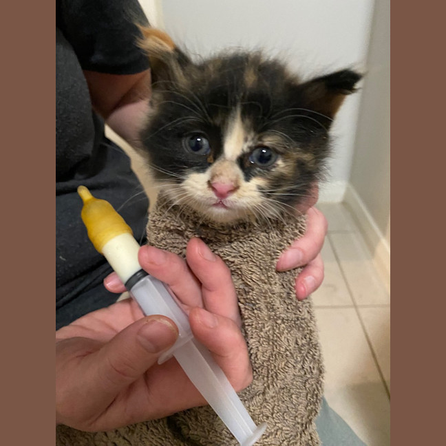 Photo of Hadley Parker