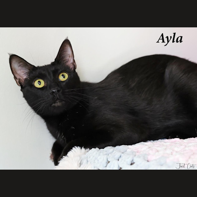 Photo of Ayla