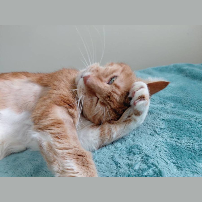 Photo of Richard Parker 