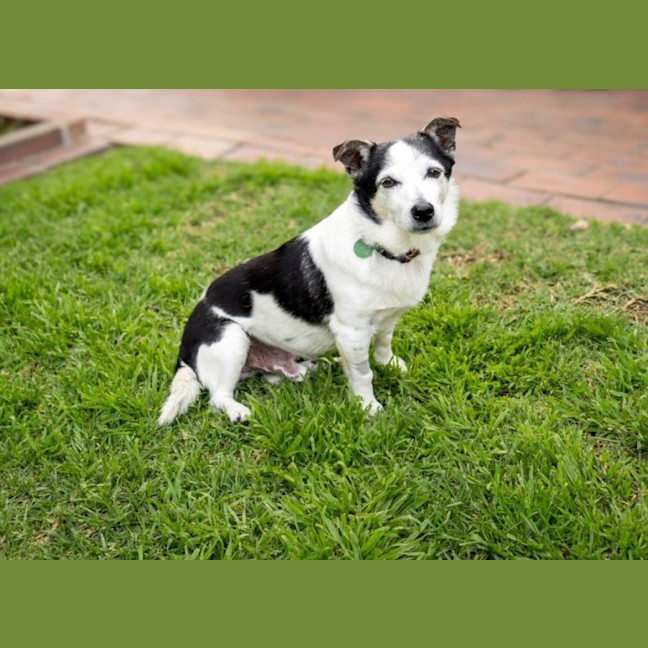 Photo of Laurie Jablonski