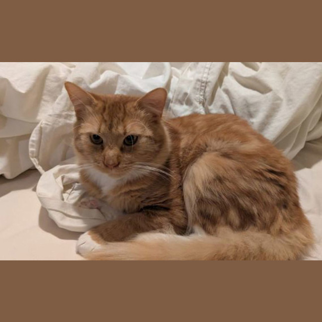 Photo of Dante