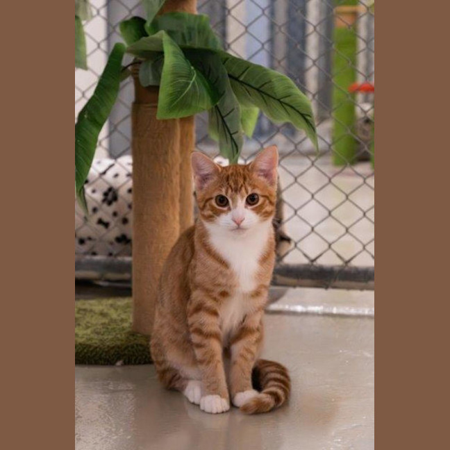 Photo of Diego Moriarty