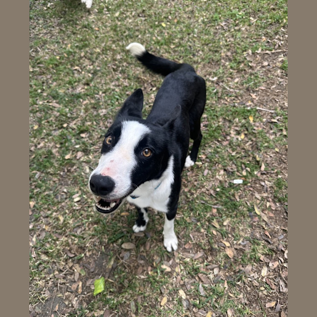 Photo of Jacko