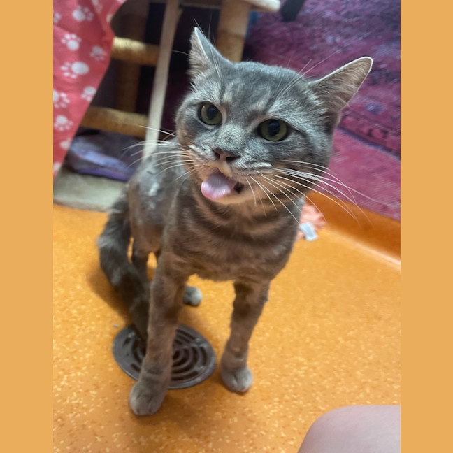 Photo of Kerby