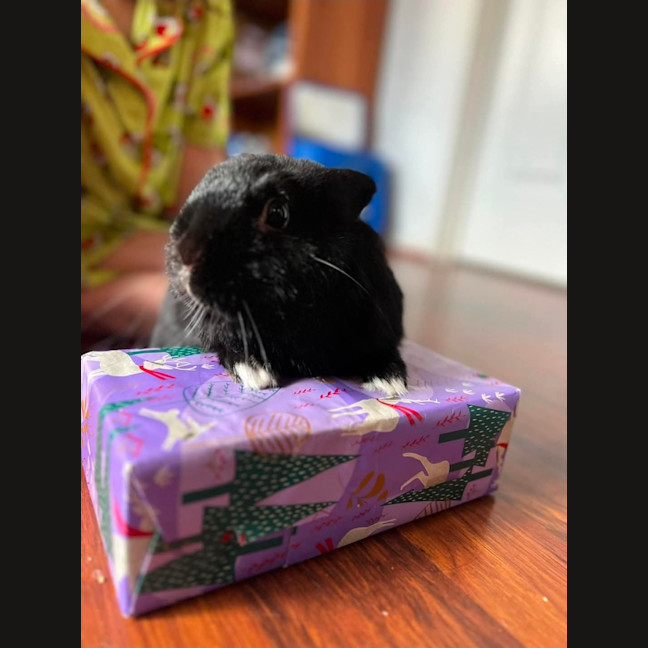 Photo of Smol Jr