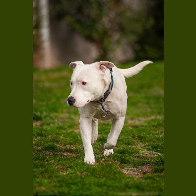 Photo of Max