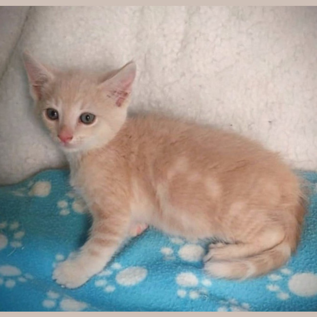 Photo of Rudolph 🦌