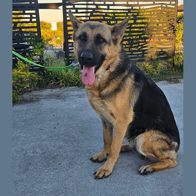 Photo of Shilo