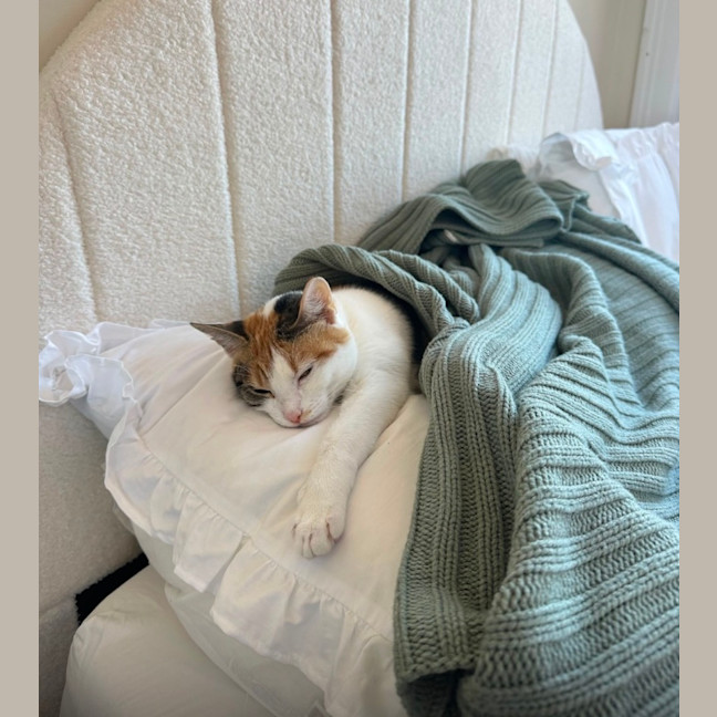Photo of Pippa