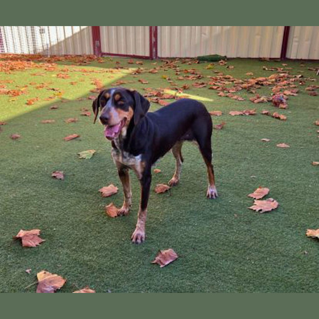 Photo of Tilly