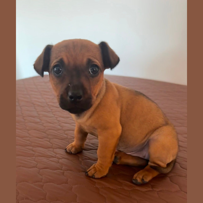 Photo of Crystal & Echo