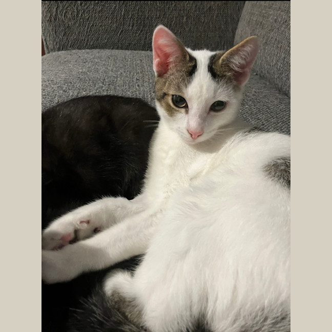 Photo of Elphie