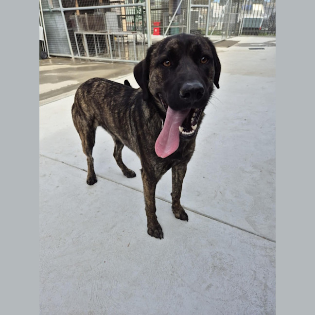 Photo of Whisky 🥃