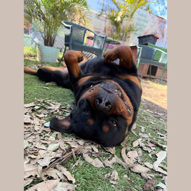 Photo of Lucy
