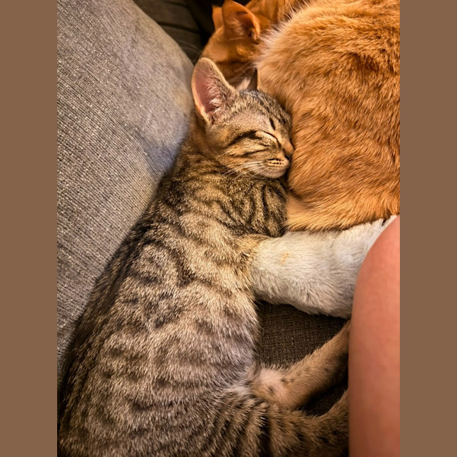 Photo of Hans