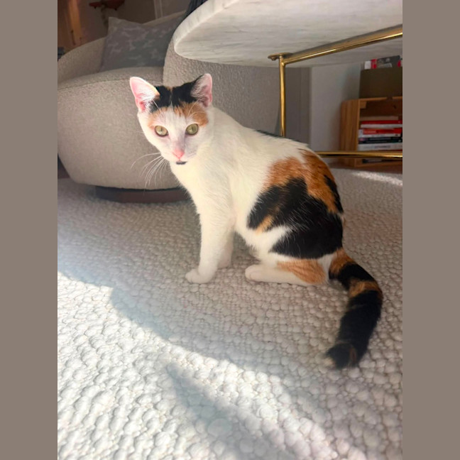 Photo of Sophia