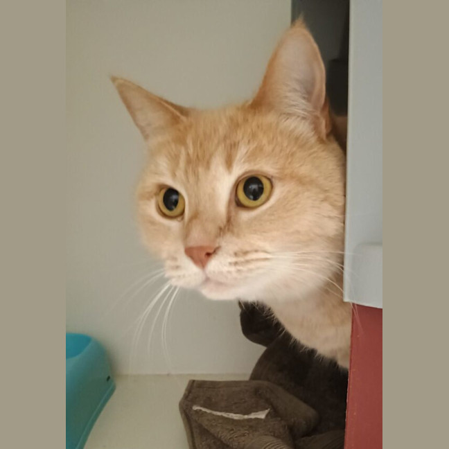 Photo of Moet And Jerry