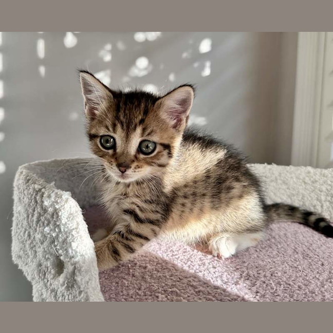 Photo of Hazel