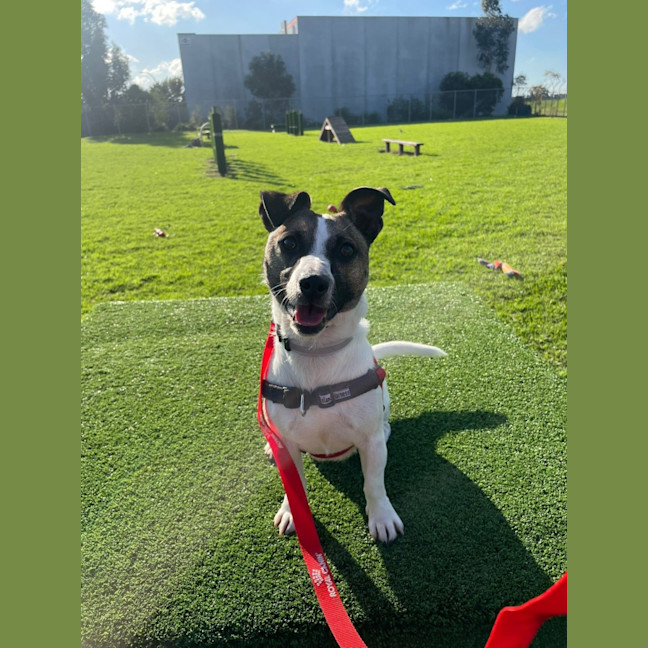 Photo of Jack