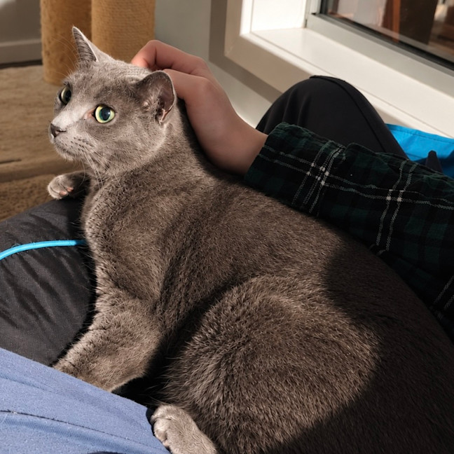 Photo of Stormy