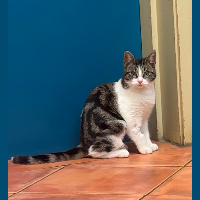 Photo of Tammy