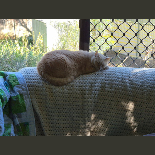 Photo of Phoebe