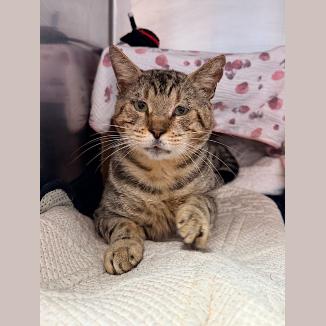 Photo of Bruce Wayne