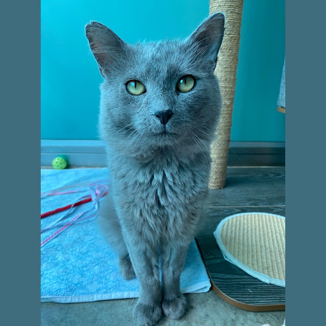 Photo of Ash