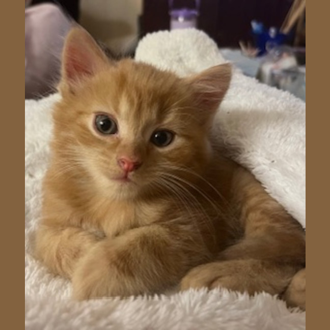 Photo of Artie