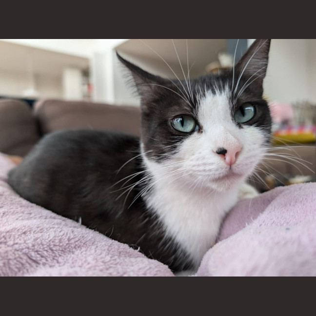 Photo of Francis 🌹🌹