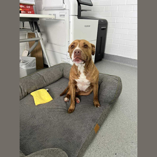 Photo of Skylar! 🌈