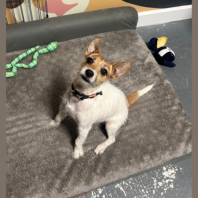 Photo of Murphy